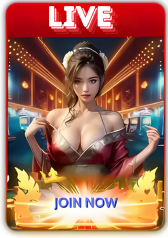 LIVE CASINO